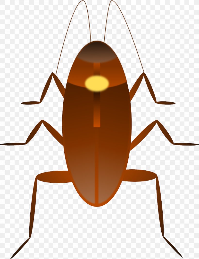 Dr. Cockroach Clip Art, PNG, 984x1280px, Cockroach, Arthropod, Brown Cockroach, Dr Cockroach, Insect Download Free