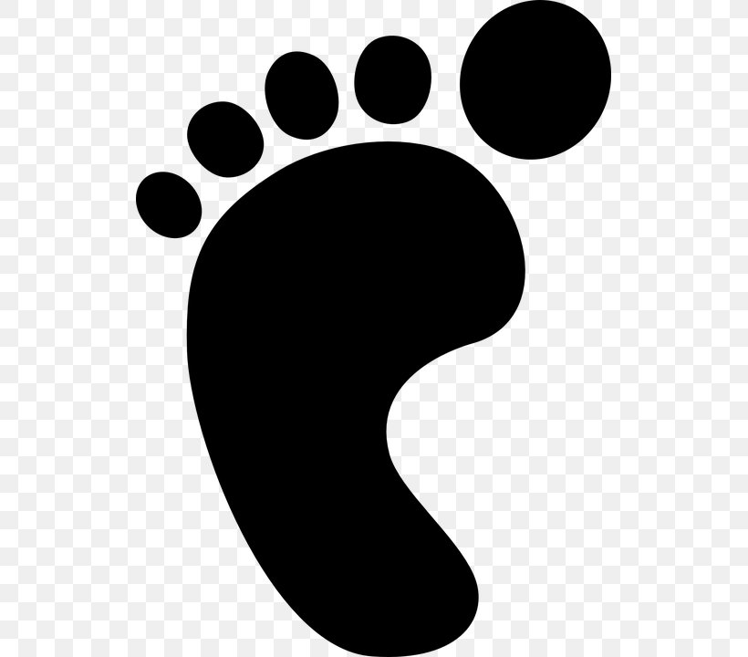 Footprint Clip Art, PNG, 521x720px, Footprint, Black, Black And White, Drawing, Foot Download Free