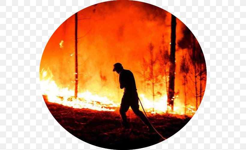 June 2017 Portugal Wildfires Chiesa Di San Nicola Pedrógão Grande Firefighter 0, PNG, 558x502px, 2017, Firefighter, Conflagration, Fire, Flame Download Free