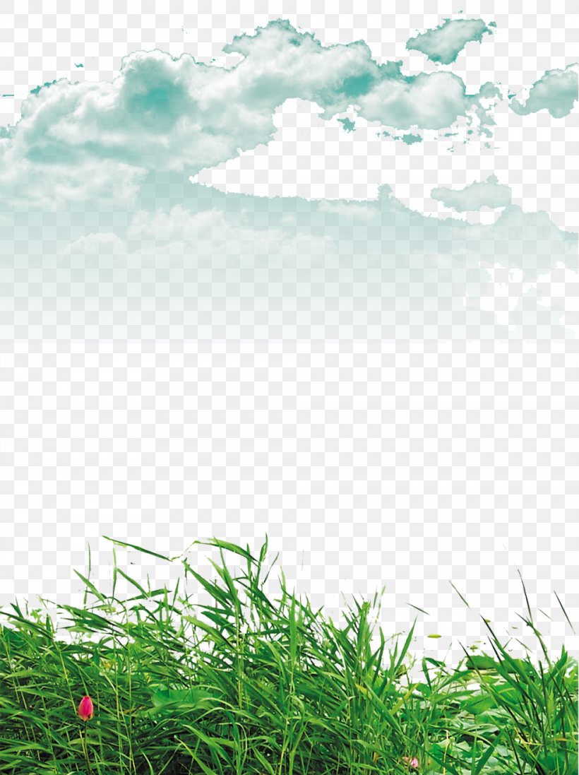 Lawn Clip Art, PNG, 984x1317px, Lawn, Cloud, Ecosystem, Grass, Green Download Free