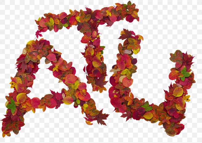 Leaf Letter Photography Autumn Image, PNG, 960x682px, Leaf, Alphabet, Autumn, Autumn Leaf Color, Color Download Free