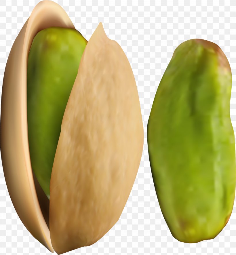 Plant Fruit Food Natural Foods Tree, PNG, 2776x3000px, Plant, Caigua, Chayote, Food, Fruit Download Free