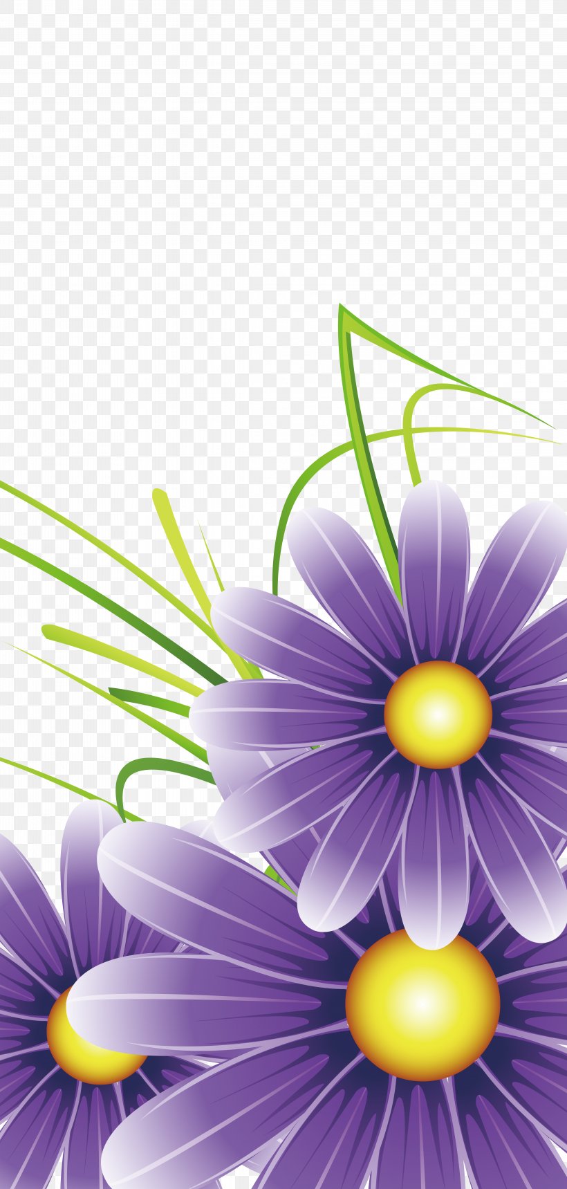 Purple Lovely Wedding, PNG, 4557x9558px, Purple, Chrysanthemum, Close Up, Computer Graphics, Daisy Download Free