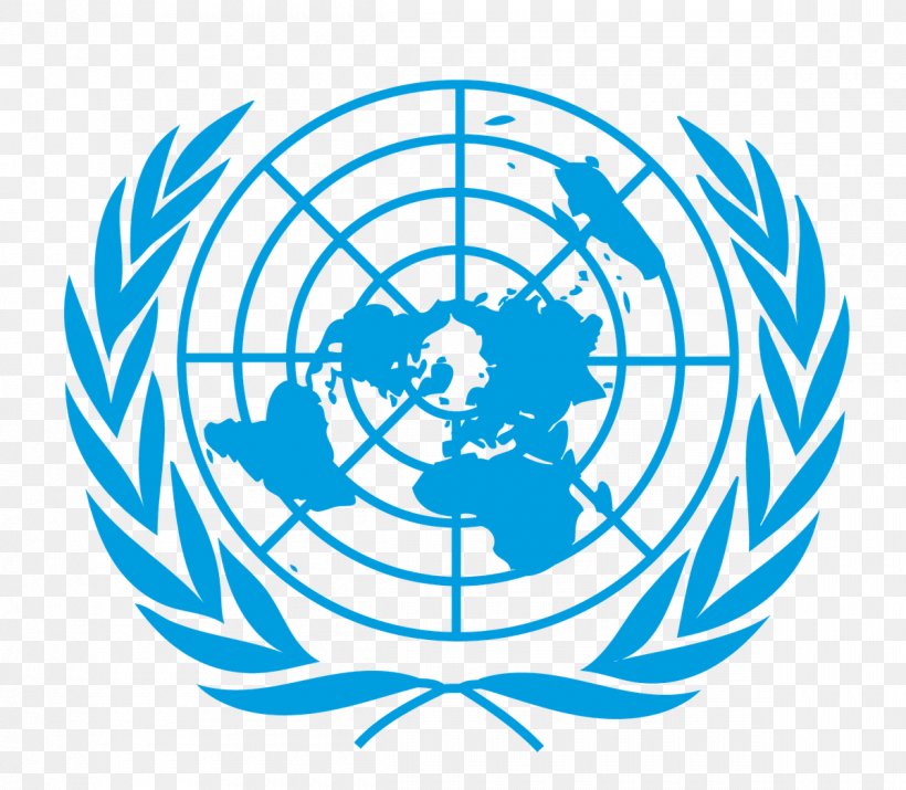 United Nations Office For The Coordination Of Humanitarian Affairs United Nations Conference On Trade And Development Management Organization, PNG, 1200x1047px, United Nations, Area, Artwork, Black And White, Business Download Free