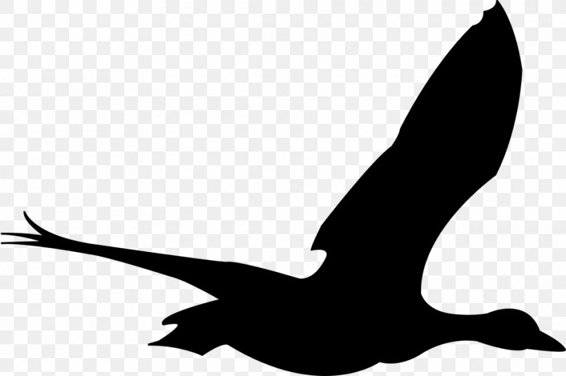 Bird Goose Cygnini Duck Columbidae, PNG, 960x640px, Bird, Art, Beak, Black And White, Columbidae Download Free