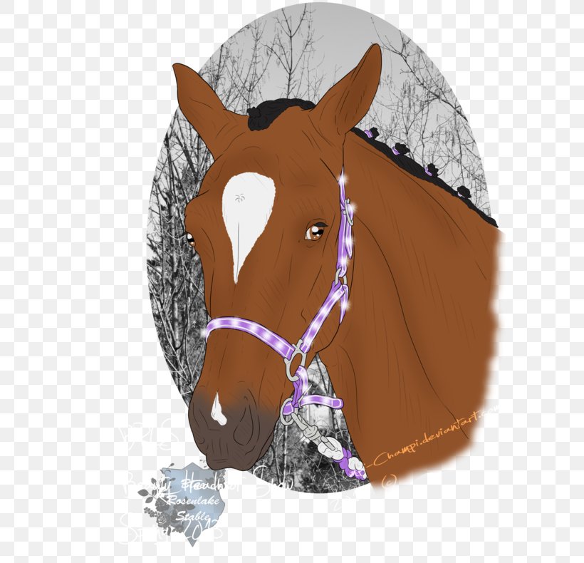 Halter Mustang Rein Bridle Pack Animal, PNG, 600x790px, Halter, Bridle, Headgear, Horse, Horse Like Mammal Download Free