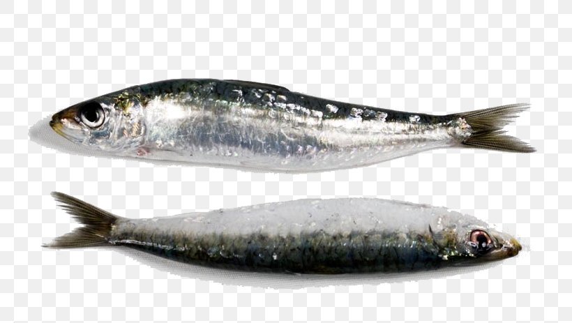 Sardine Swordfish European Pilchard Seafood, PNG, 798x463px, Sardine, Anchovy, Animal Source Foods, Bony Fish, Capelin Download Free