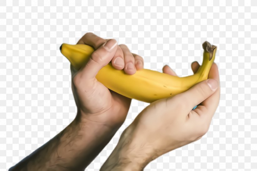 Banana Family Banana Fruit Yellow Hand, PNG, 2000x1336px, Banana Family, Arm, Banana, Finger, Food Download Free