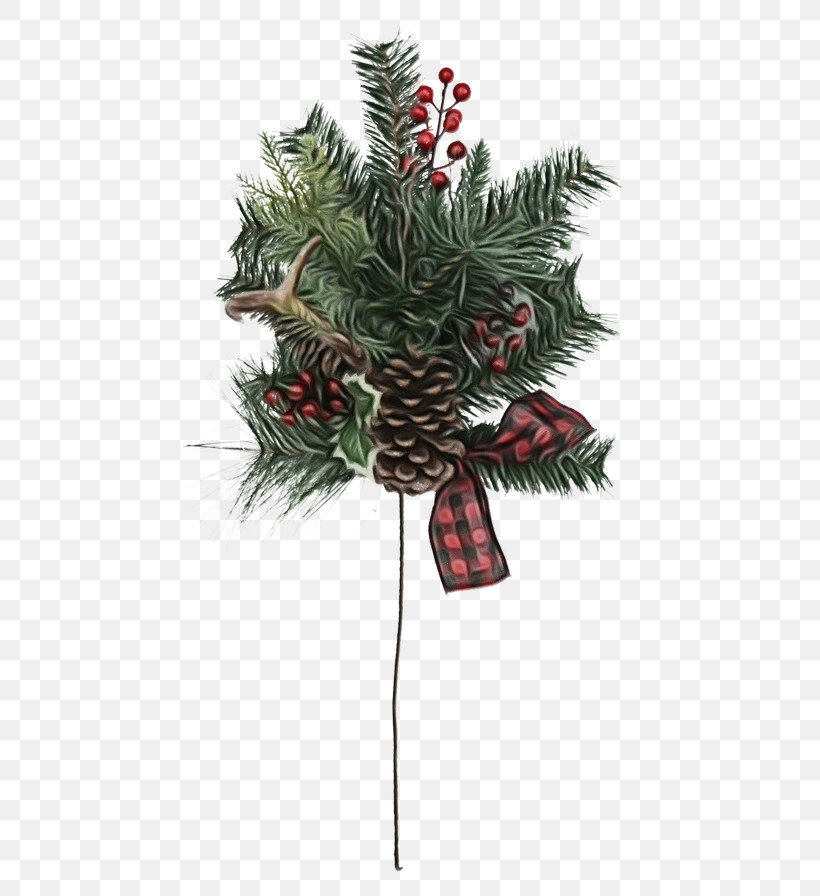 Christmas Decoration, PNG, 600x896px, Watercolor, Branch, Christmas, Christmas Decoration, Colorado Spruce Download Free