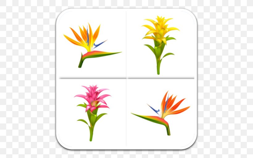 Cut Flowers Plant Stem Leaf Petal Clip Art, PNG, 512x512px, Cut Flowers, Bird Of Paradise, Bromelia, Bromeliaceae, Flower Download Free