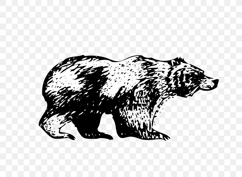 Grizzly Bear Drawing /m/02csf White, PNG, 800x600px, Grizzly Bear, Animal, Bear, Black And White, Carnivoran Download Free