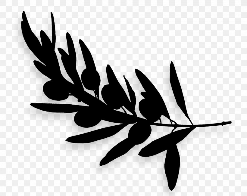 Leaf Silhouette Black, PNG, 1920x1528px, Leaf, Black, Blackandwhite, Botany, Branch Download Free