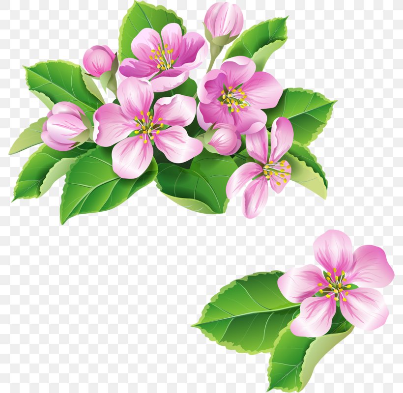 Paper Pink Flowers Clip Art, PNG, 786x800px, Paper, Blossom, Branch, Color, Cut Flowers Download Free