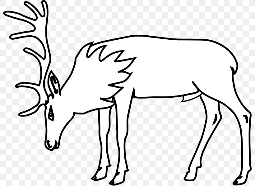 Reindeer Rudolph Drawing Clip Art, PNG, 799x600px, Deer, Antler, Black And White, Coloring Book, Drawing Download Free