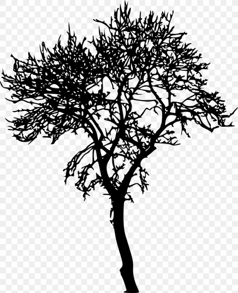 Twig Tree Silhouette, PNG, 833x1024px, Twig, Black And White, Branch, Flower, Leaf Download Free