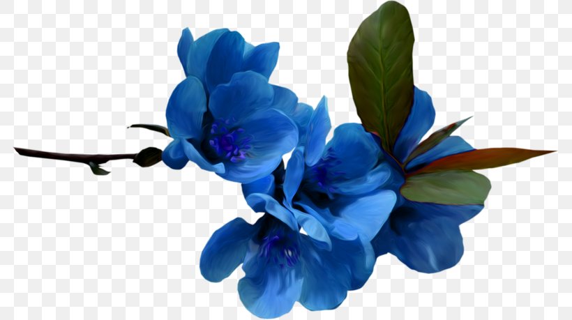 Blue Flower Color Desktop Wallpaper, PNG, 783x459px, Blue, Color, Cut Flowers, Flower, Flowering Plant Download Free