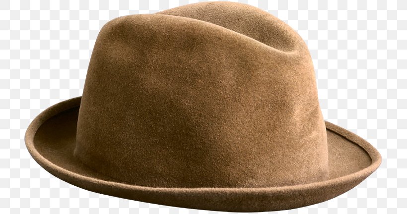 Fedora Hat Man Sombrero, PNG, 726x432px, Fedora, Art, Cotton, Fur, Gentleman Download Free