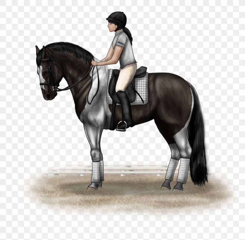 Hunt Seat Horse Equestrian Bridle Stallion, PNG, 1700x1667px, Hunt Seat, Animal Sports, Animal Training, Bit, Bridle Download Free