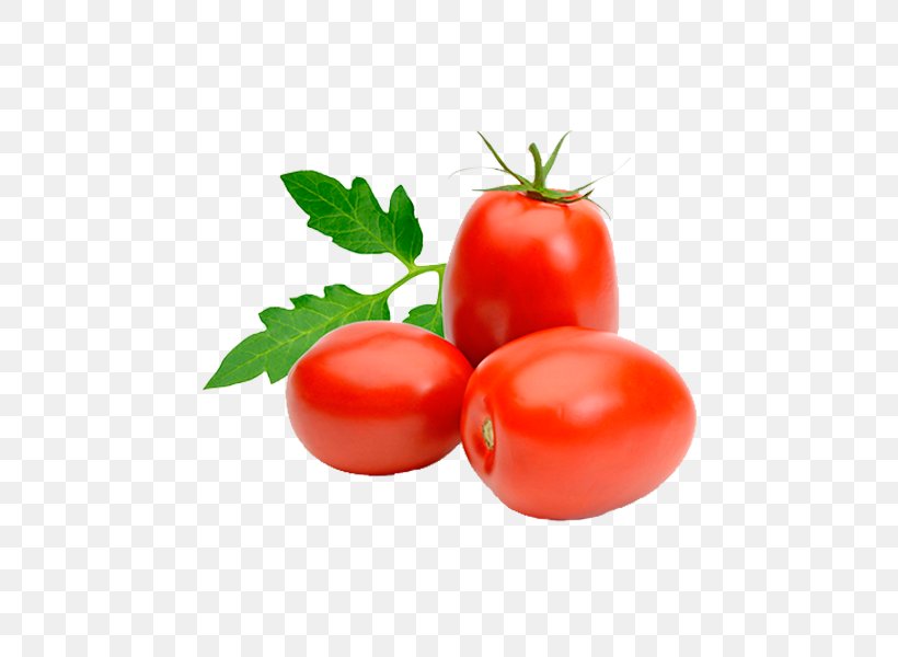 Italian Cuisine Roma Tomato Plum Tomato Tomato Soup Vegetable, PNG, 600x600px, Italian Cuisine, Brandywine, Bush Tomato, Can, Cherry Download Free
