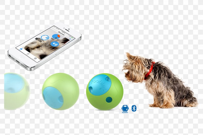 Puppy Grimstalyan Hunddagis Stockholm Dog Toys Industry, PNG, 1500x1000px, Puppy, Carnivoran, Cat, Dog, Dog Breed Download Free