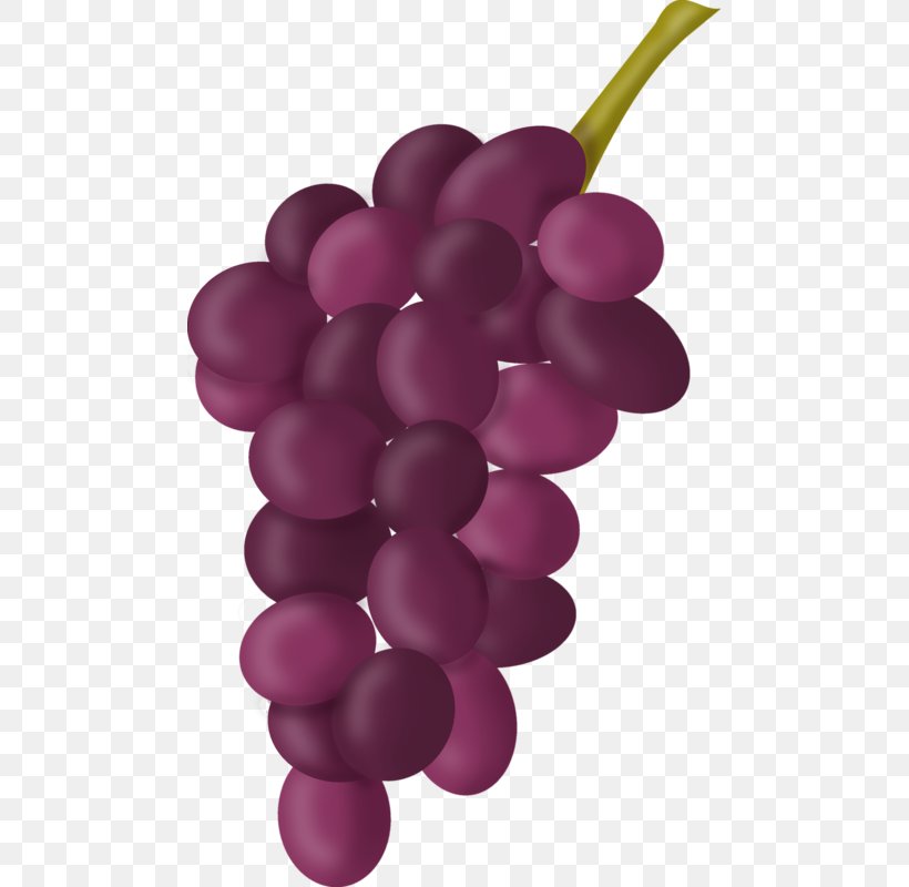 Common Grape Vine Grape Seed Extract Photography Clip Art, PNG, 481x800px, Grape, Color, Common Grape Vine, Food, Fruit Download Free