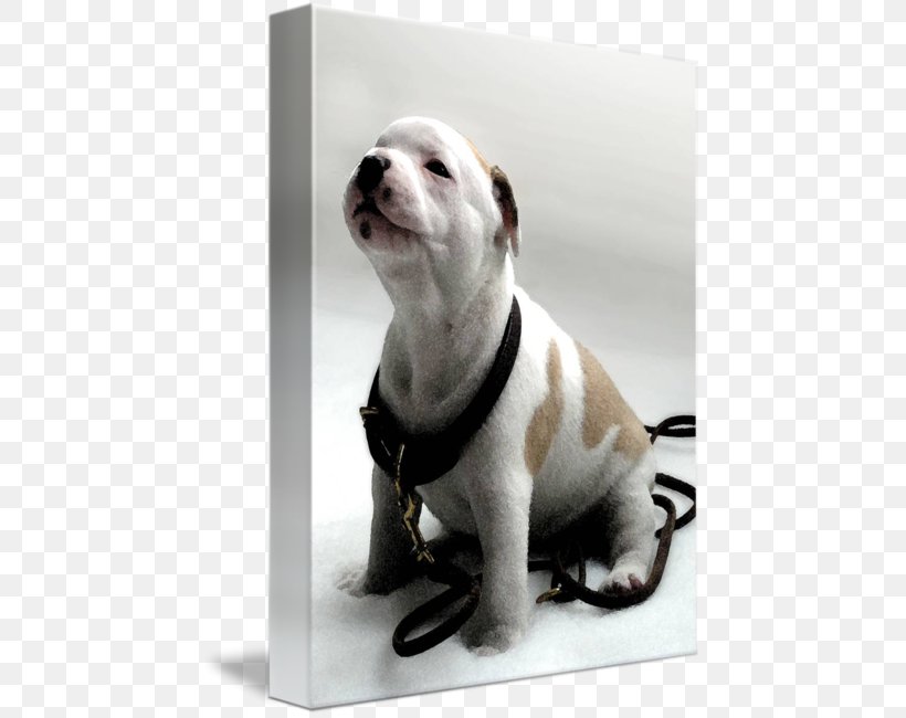 Dog Breed Staffordshire Bull Terrier American Staffordshire Terrier Puppy, PNG, 452x650px, Dog Breed, American Staffordshire Terrier, Art, Breed, Bull Terrier Download Free