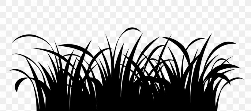 Vector Graphics Clip Art Lawn Drawing Illustration, PNG, 1200x534px, Lawn, Animation, Blackandwhite, Branch, Cartoon Download Free