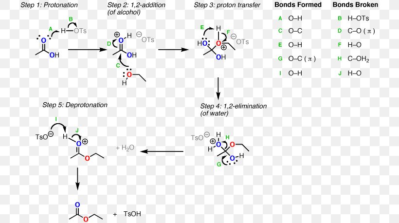 Fischer–Speier Esterification Carboxylic Acid Reaction Mechanism, PNG, 741x458px, Carboxylic Acid, Acid, Acid Catalysis, Alcohol, Area Download Free