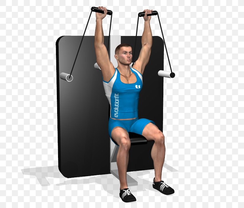 Weight Training Shoulder Deltoid Muscle Cable Machine Calf, PNG, 700x700px, Watercolor, Cartoon, Flower, Frame, Heart Download Free