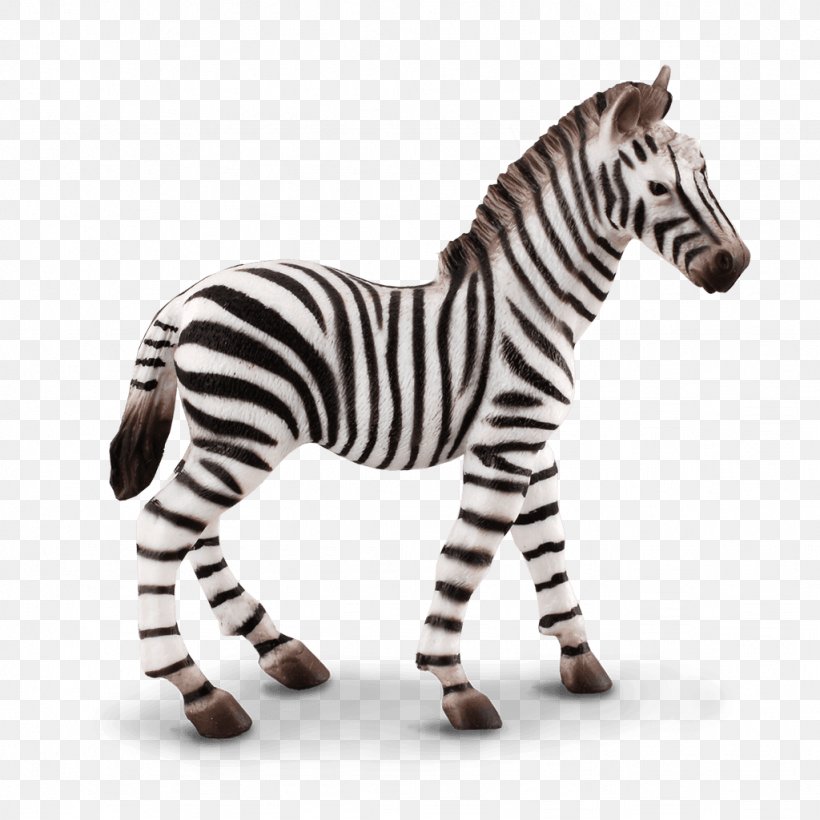 Collecta Small Zebra Foal Figure Action & Toy Figures Schleich Zebra Foal PVC Figure 14393 Loose Used, PNG, 1024x1024px, Foal, Action Toy Figures, Animal Figure, Animal Figurine, Figurine Download Free