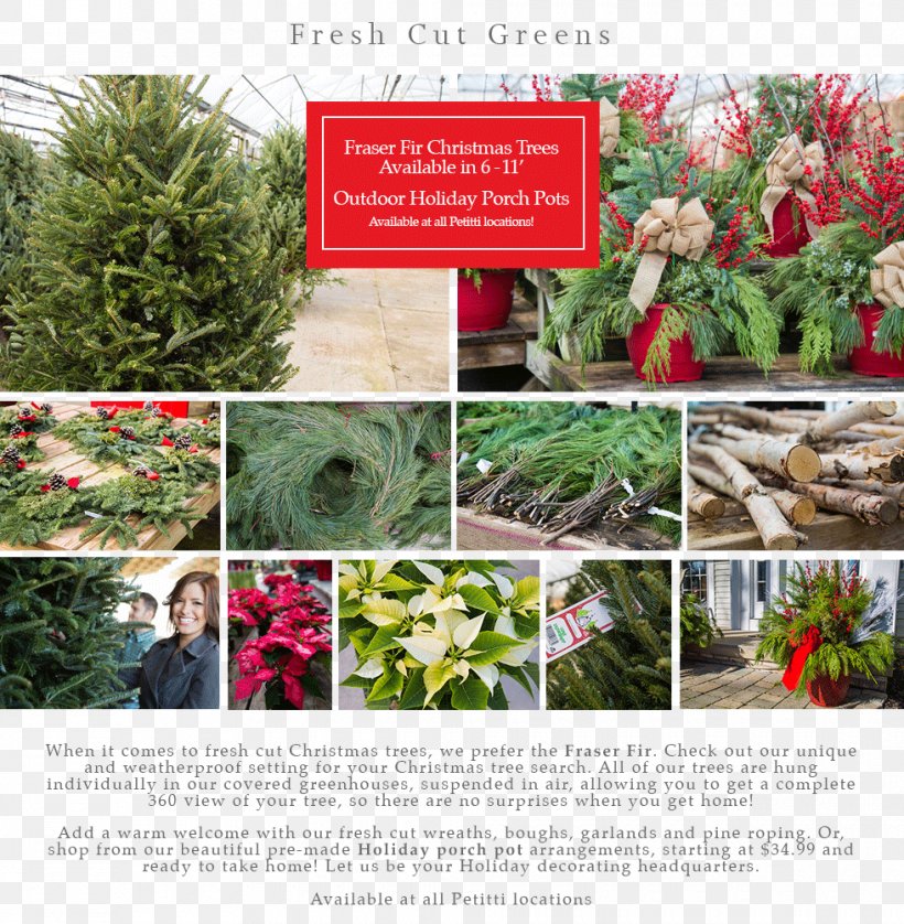Floral Design Landscaping Tree, PNG, 980x1002px, Floral Design, Evergreen, Flora, Floristry, Flower Download Free