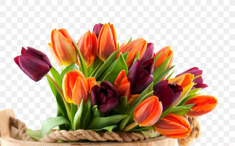 Flower Bouquet Tulip Cut Flowers Floral Design, PNG, 1280x800px, Flower Bouquet, Cut Flowers, Father S Day, Floral Design, Floristry Download Free
