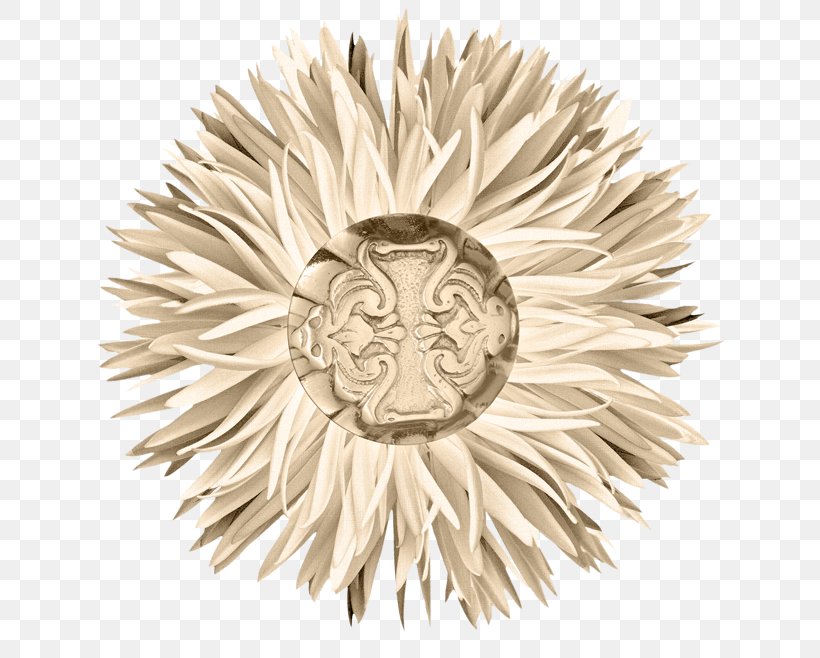 Google Images Chrysanthemum Icon, PNG, 690x658px, Google Images, Chrysanthemum, Search Engine Download Free