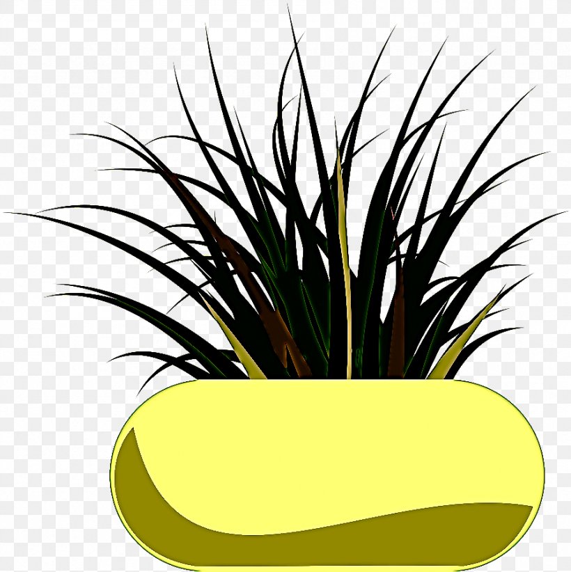 Grass Plant Houseplant Yellow Flowerpot, PNG, 897x900px, Grass, Flower, Flowerpot, Grass Family, Houseplant Download Free