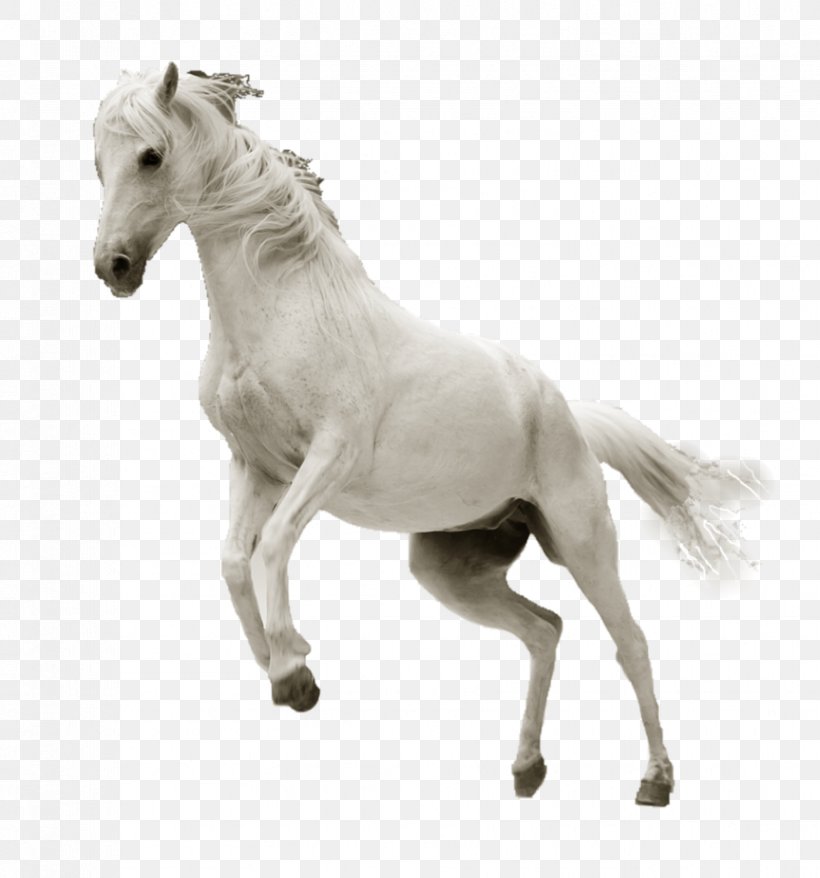 Horse Desktop Wallpaper High-definition Video Ultra-high-definition Television, PNG, 863x925px, 4k Resolution, 5k Resolution, Horse, Animal Figure, Aspect Ratio Download Free