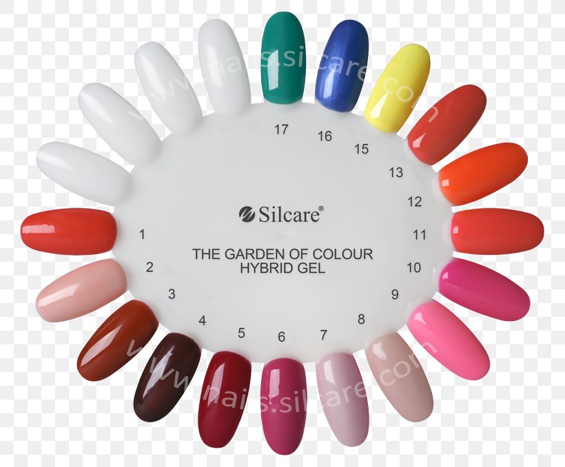 Lakier Hybrydowy Color Lacquer Nail Gel, PNG, 800x678px, Lakier Hybrydowy, Beauty, Color, Color Chart, Cosmetics Download Free