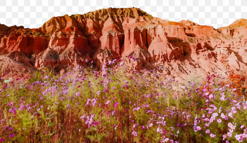 Outcrop Vegetation Shrubland National Park Wilderness, PNG, 2508x1455px, Watercolor, Badlands National Park, Canyon Bicycles, Cliff M, Ecoregion Download Free