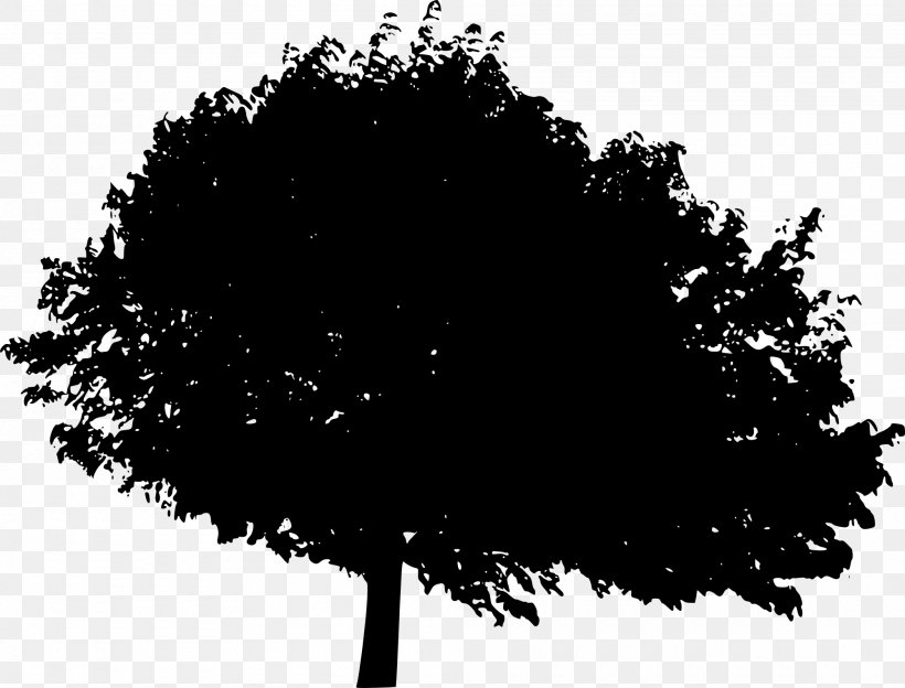 Tree Silhouette Desktop Wallpaper Woody Plant, PNG, 2000x1524px, Tree, Black, Black And White, Branch, Computer Download Free