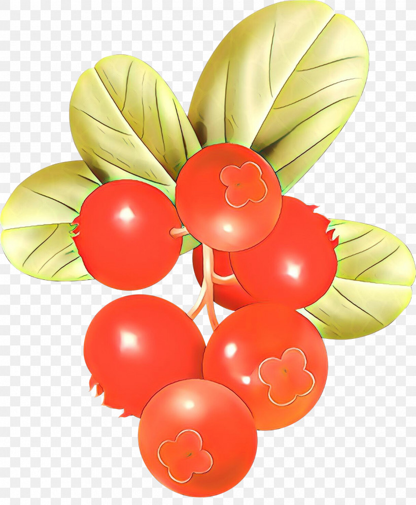 Balloon Plant Fruit Party Supply Currant, PNG, 2474x3000px, Balloon, Berry, Currant, Fruit, Party Supply Download Free