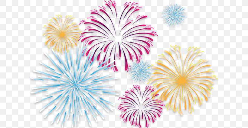 Clip Art, PNG, 636x424px, Fireworks, Display Resolution, Event, Flower, Flowering Plant Download Free