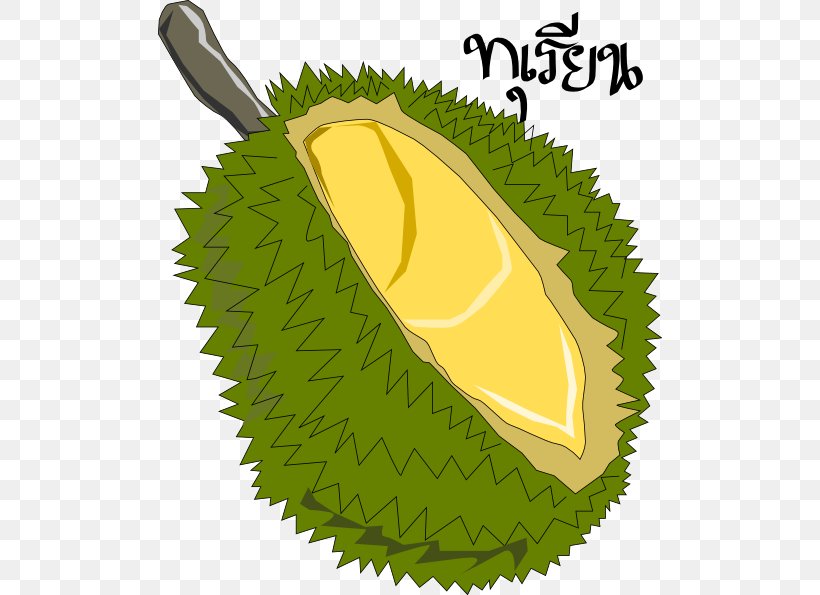 Jackfruit Durian Clip Art, PNG, 504x595px, Jackfruit, Blog, Drawing, Durian, Food Download Free