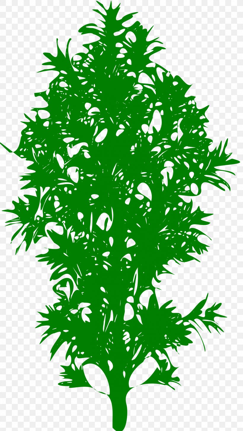 Leaf Plant Stem Line Branching, PNG, 1356x2400px, Leaf, Branch, Branching, Flora, Grass Download Free