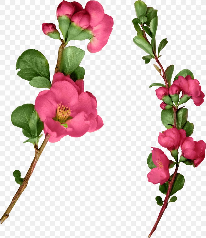 Artificial Flower Clip Art, PNG, 2226x2573px, Flower, Artificial Flower, Blossom, Branch, Bud Download Free