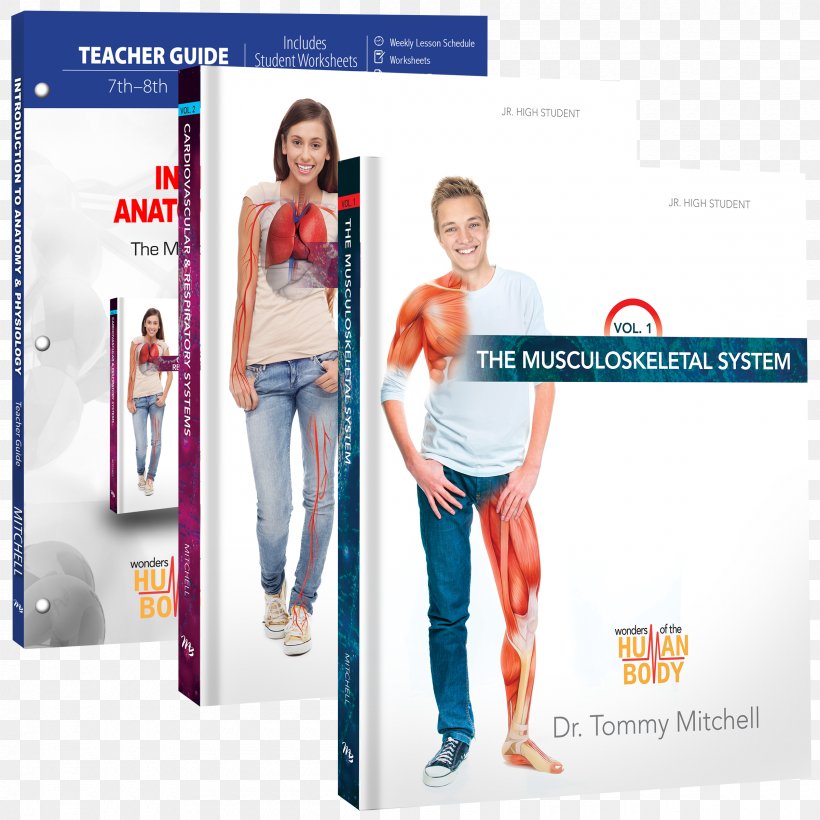 Introduction To Anatomy & Physiology: The Musculoskeletal System Introduction To Anatomy & Physiology (Teacher Guide) Human Musculoskeletal System, PNG, 2400x2400px, Human Musculoskeletal System, Advertising, Anatomy, Bone, Brand Download Free