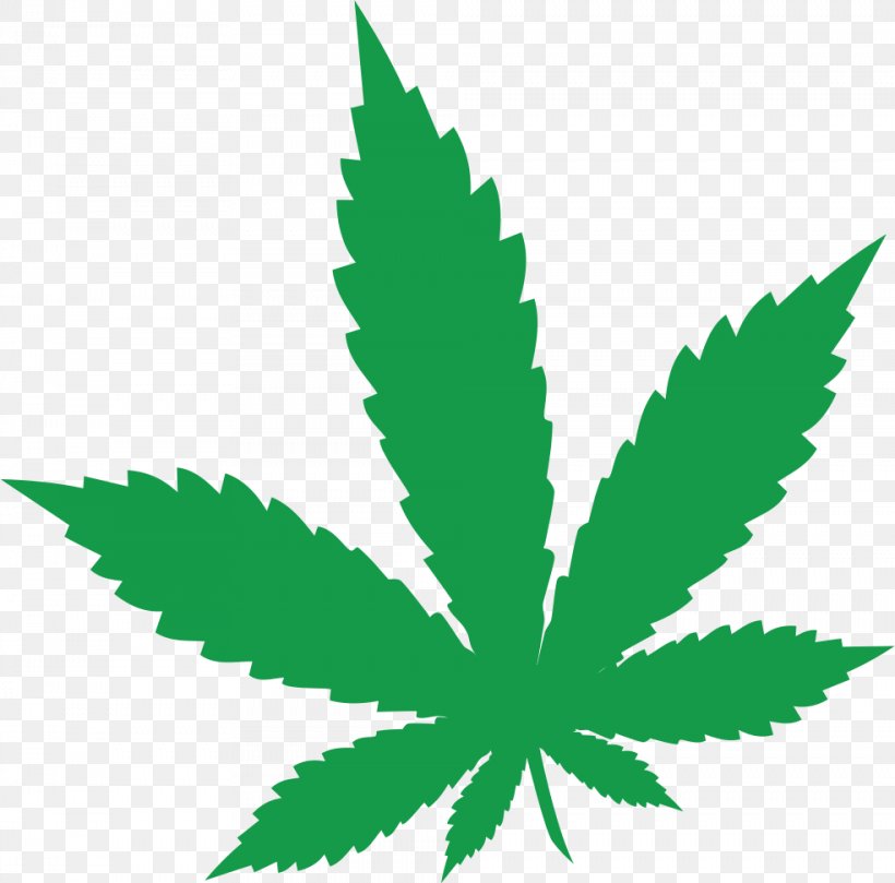 Medical Cannabis Cannabidiol Dispensary Kong Force, PNG, 984x971px, Cannabis, Cannabidiol, Dispensary, Grass, Hashish Download Free