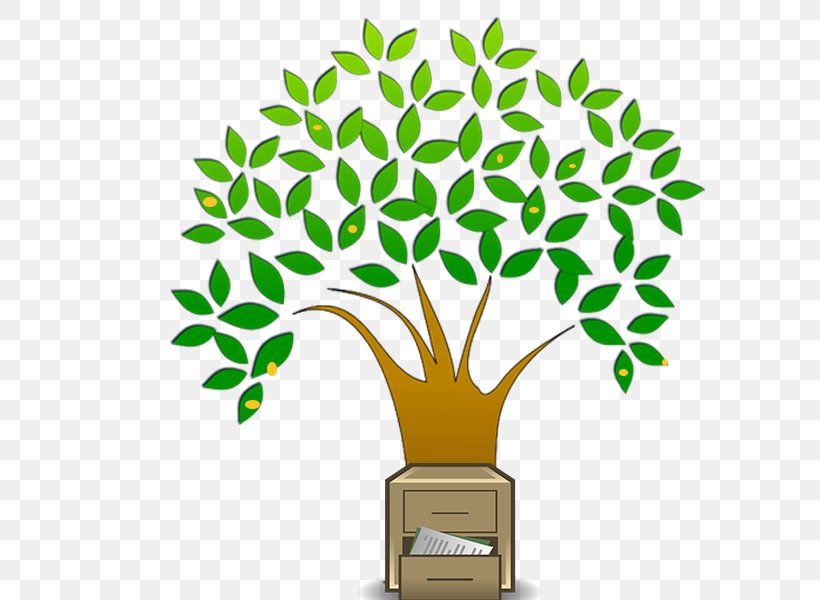 Trees Arborist Tree Planting Pruning, PNG, 800x600px, Tree, Arboriculture, Arborist, Branch, Flowerpot Download Free