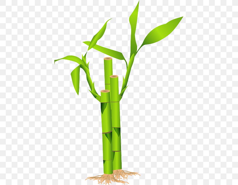 Bamboo Grasses Download Clip Art, PNG, 445x640px, Bamboo, Bamboo Shoot, Commodity, Flowerpot, Grass Download Free