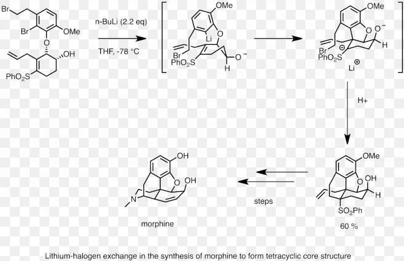 Chemical Synthesis Reagent Total Synthesis Of Morphine And Related Alkaloids Wikipedia Chemistry, PNG, 1024x663px, Chemical Synthesis, Alkaloid, Area, Auto Part, Black And White Download Free
