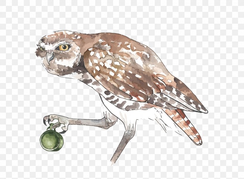 Owl Watercolor Painting, PNG, 1500x1105px, Owl, Beak, Bird, Bird Of Prey, Deviantart Download Free