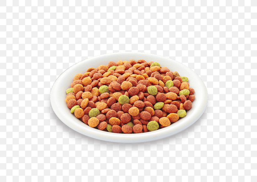 Cat Food Peanut Vegetarian Cuisine, PNG, 580x580px, Cat Food, Bean, Cat, Dish, Food Download Free